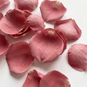 Soft rose