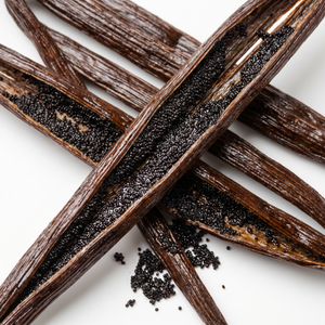 Vanilla Planifolia